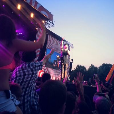The Script