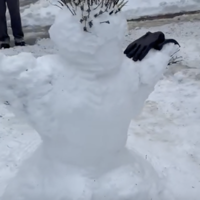 Snješko 8