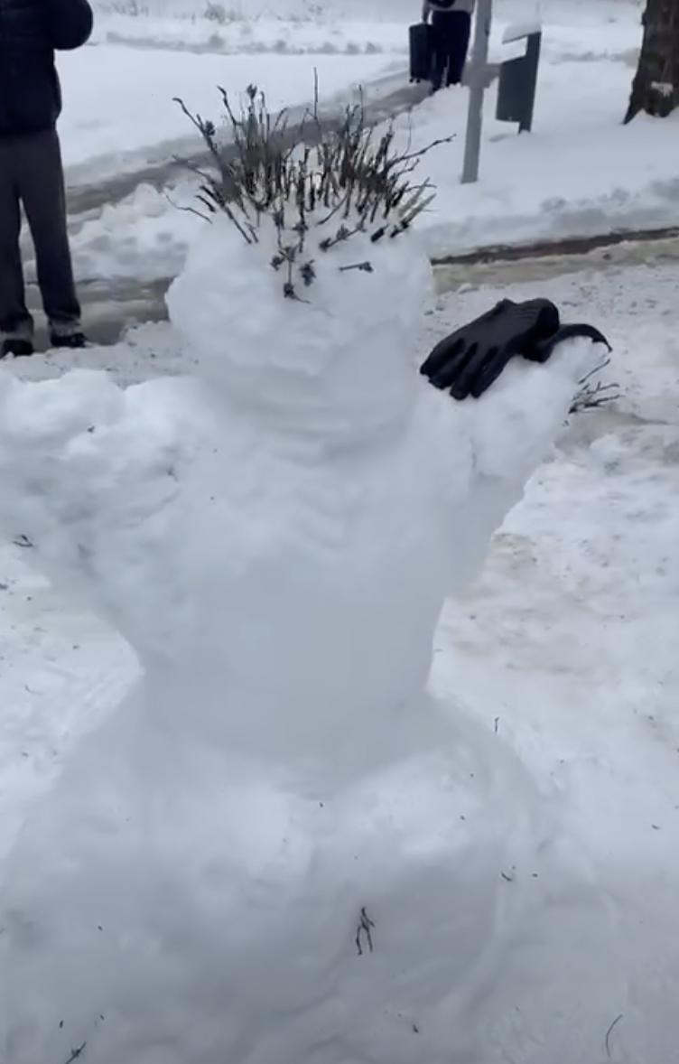 Snješko 8