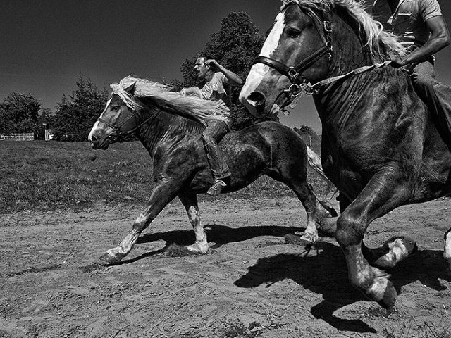 The Action Photographer
