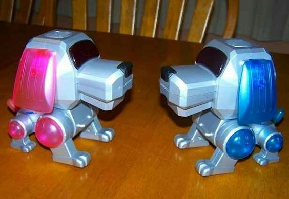Poochi