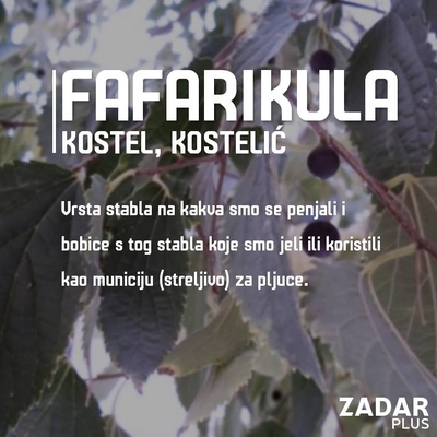 Fafarikula