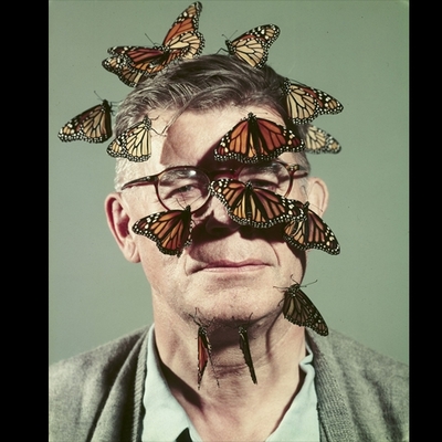 Uzgajivač leptira Carl Anderson, 1954