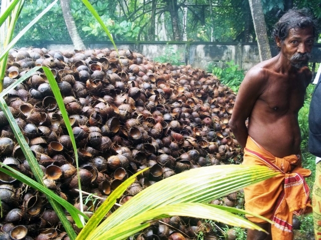Sušenje kokosa, Kerala