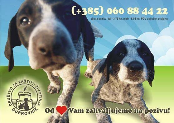 Pomoć Žarkovici