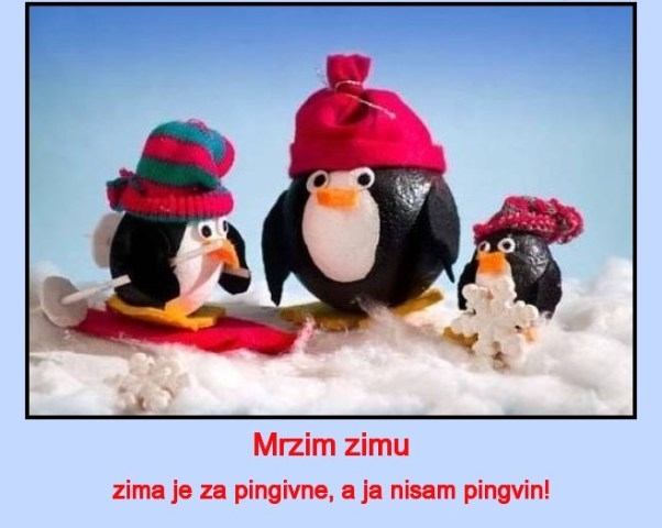 Zimski pingvini