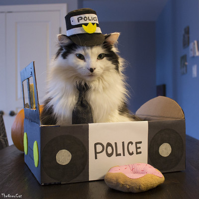 Mačak Policajac