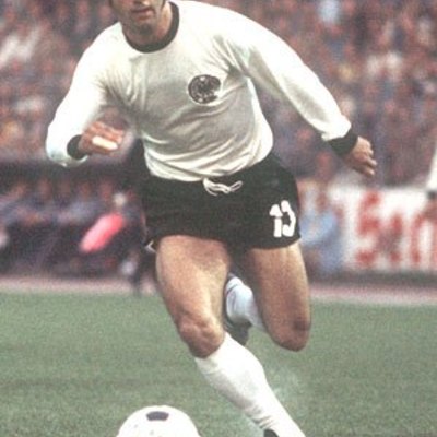 Dieter Müller: Euro 1976., Telstar