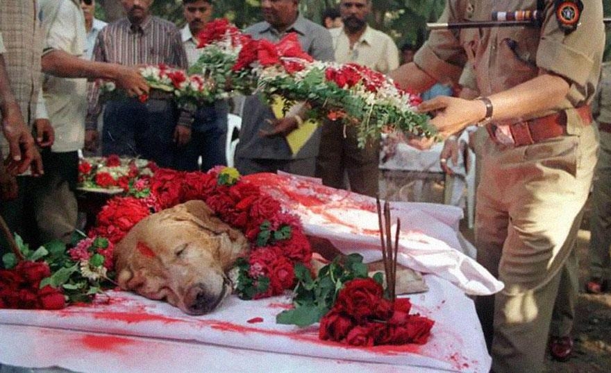 Pas Zanjeer