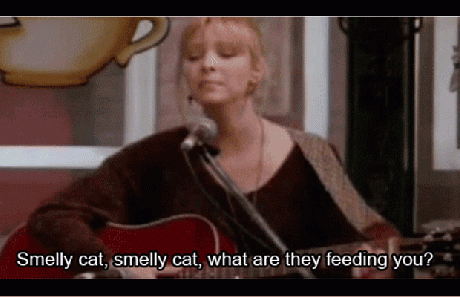 Phoebe