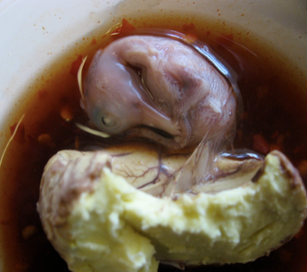 Balut