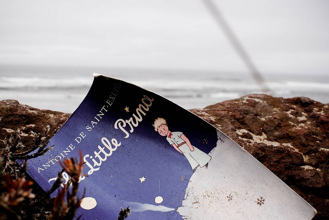 Le petit prince