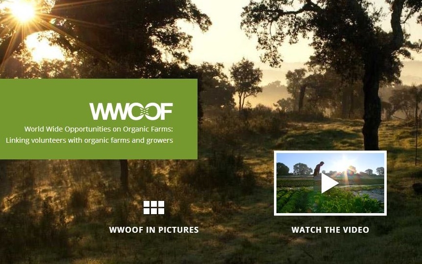 WWOOF