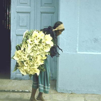 Djevojka sa ljiljanima, Meksiko, 1951