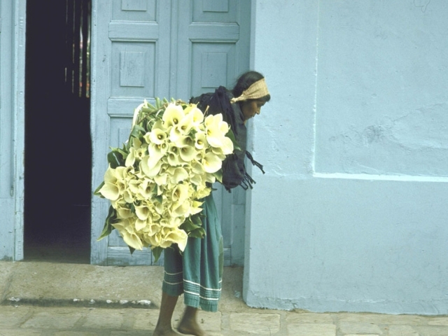 Djevojka sa ljiljanima, Meksiko, 1951