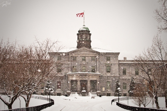 Sveučilište McGill, Montreal