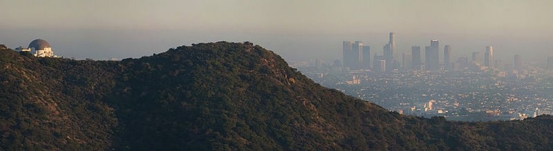 LA