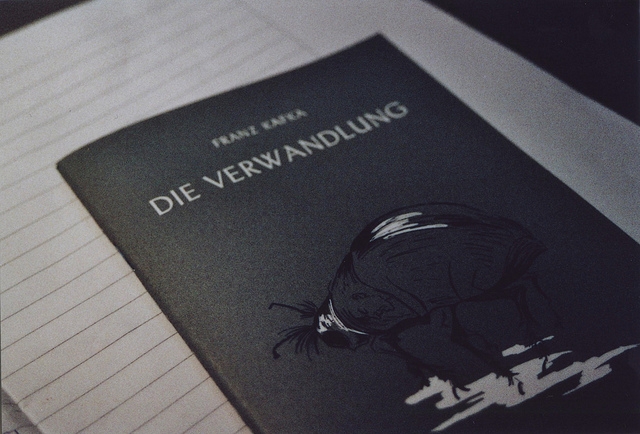 Die Verwandlung