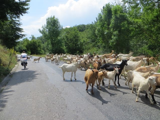 Neočekivani prolaznici